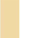 WHITE-CHAMPAGNE.jpg