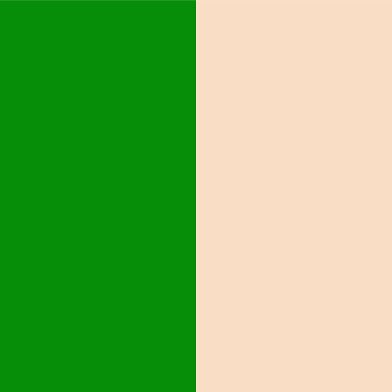 BEIGE-GREEN.jpg