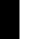 PALETA-DE-COLOR-PARA-WEB.jpg